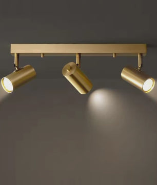 Moderne Gouden Plafondspot met 3 Draaibare Spots - Stijlvolle Woonkamer & Kledingkast Verlichting