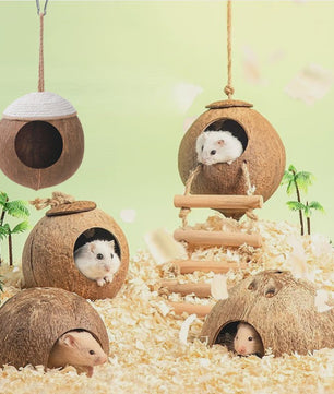 Natuurlijk Kokosnoot Hamsterhuis - Veilige & Bite-resistant Schuilplaats en Speelgoed voor Kleine Huisdieren
