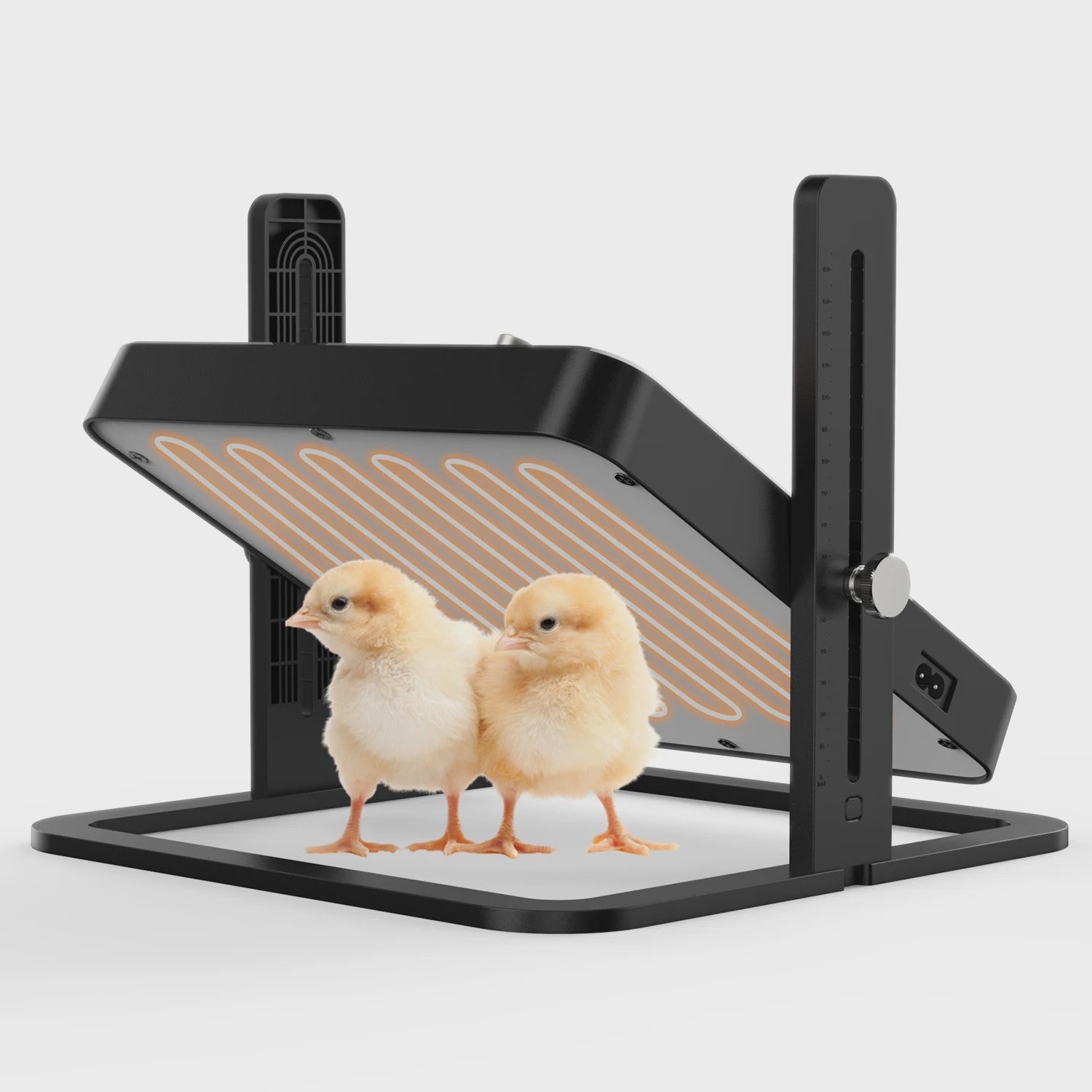 Verstelbare Kuiken Verwarmingsplaat met Thermostaat - Energiezuinig & Veilig