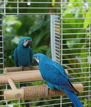 Vogel Speeltoren met Spiegel en Jute Touw - Klimmen, Kauwen & Pootverzorging voor Papegaaien