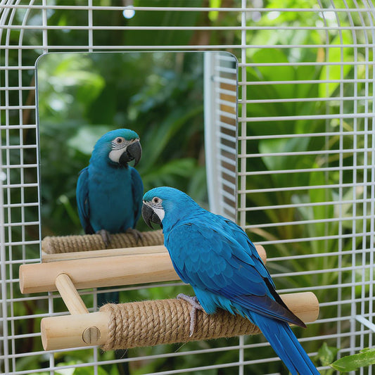Vogel Speeltoren met Spiegel en Jute Touw - Klimmen, Kauwen & Pootverzorging voor Papegaaien