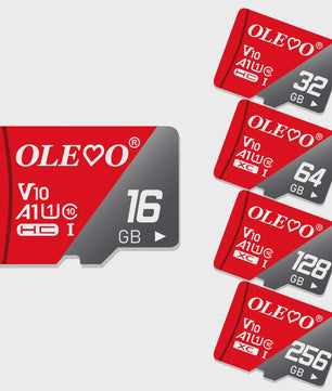 Snelle Mini SD Kaarten (4GB-64GB) - Class 10 TF Kaarten voor Smartphone, Camera & Tablet
