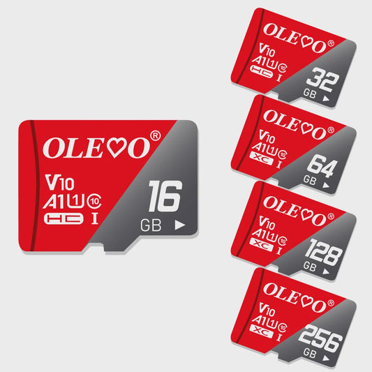 Snelle Mini SD Kaarten (4GB-64GB) - Class 10 TF Kaarten voor Smartphone, Camera & Tablet