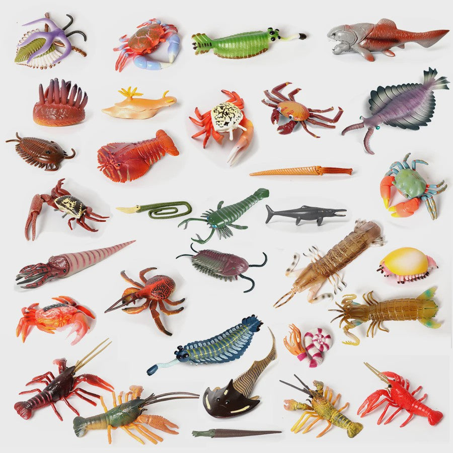 Educatieve Prehistorische Zeedieren Figuren Set: Baculite, Opabinia, Krab & Meer