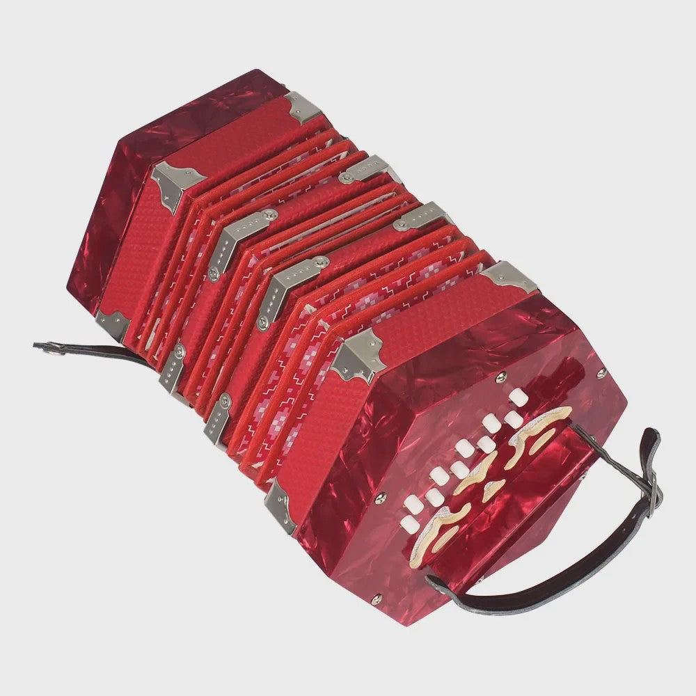 Concertina Accordeon 20 Knoppen - Anglo Stijl Muziekinstrument voor Kinderen