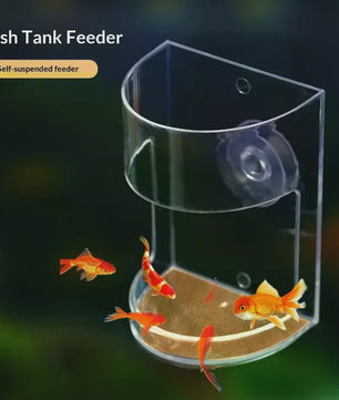 Drijvende Voerring Aquarium met Zuignap - Houd Water Schoon