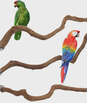 Natuurlijke Vogel Zittak met Klauw slijpfunctie - Ideaal voor Papegaaien & Parkieten