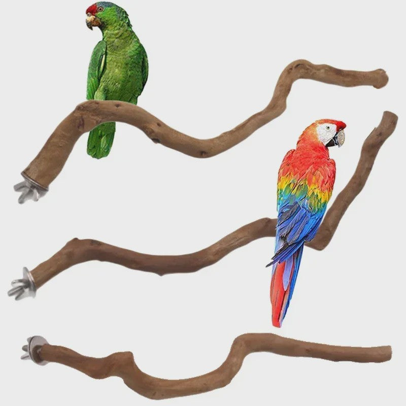 Natuurlijke Vogel Zittak met Klauw slijpfunctie - Ideaal voor Papegaaien & Parkieten