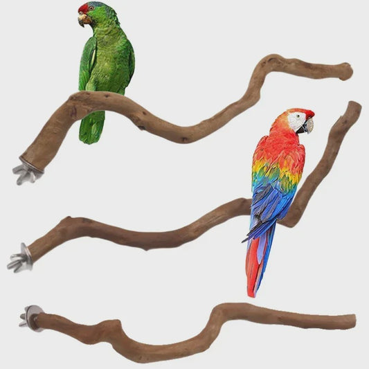 Natuurlijke Vogel Zittak met Klauw slijpfunctie - Ideaal voor Papegaaien & Parkieten