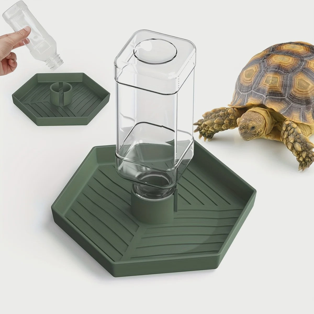 Automatische Reptielen Voerbak en Waterdispenser voor Kleine Hagedissen, Kikkers, Slangen en Schildpadden