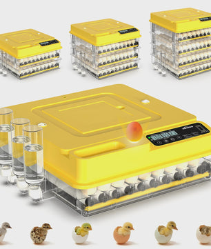 Automatische Broedmachine 288 Eieren - Volledig Automatisch met Temperatuur-, Water- en Keerfunctie - Geschikt voor Kip, Eend, Gans, Kwartel, Duif, Schildpad