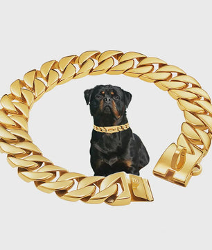Gouden Hondenketting 32mm RVS - Stoere Halsband voor Grote Rassen