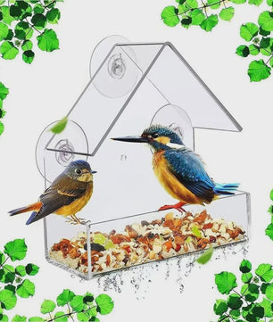 Acryl Vogelhuisje Voederhuisje voor Ramen met Zuignap - Buiten Tuin Vogelvoer Station