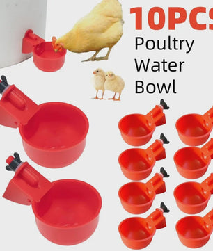 Automatische Drinkbakjes voor Kippen en Watervogels - Set van 10
