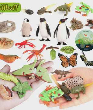 Educatieve Levenscyclus Figuren Set: Panda, Insecten, Pinguïns, Kikkers & Meer