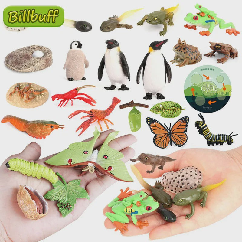 Educatieve Levenscyclus Figuren Set: Panda, Insecten, Pinguïns, Kikkers & Meer