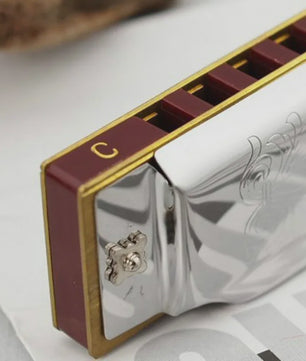 Professionele 10-Gats C-Toon Diatonische Mondharmonica - Zilverkleurig, Inclusief Luxe Koffer