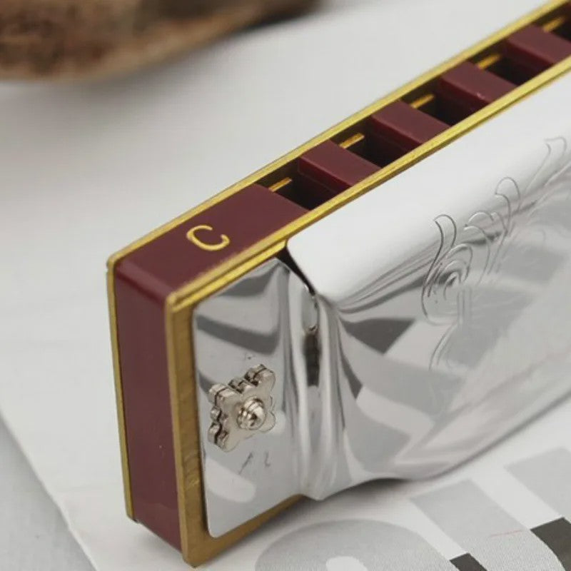Professionele 10-Gats C-Toon Diatonische Mondharmonica - Zilverkleurig, Inclusief Luxe Koffer