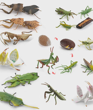 Realistische Insecten Model Figuren: Bidsprinkhaan, Bladwesp & Meer - Educatief Speelgoed & Decoratie