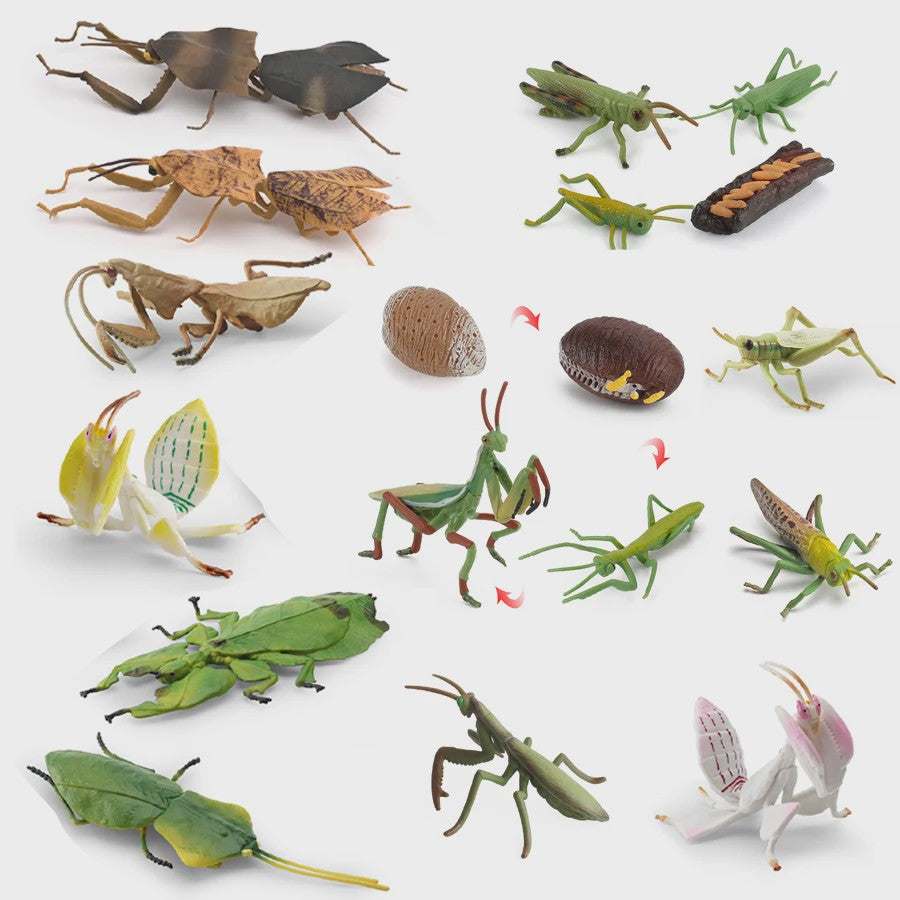 Realistische Insecten Model Figuren: Bidsprinkhaan, Bladwesp & Meer - Educatief Speelgoed & Decoratie