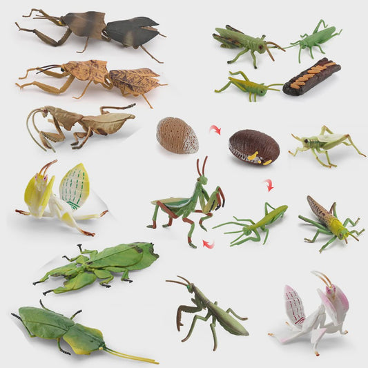 Realistische Insecten Model Figuren: Bidsprinkhaan, Bladwesp & Meer - Educatief Speelgoed & Decoratie