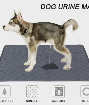Herbruikbare Waterdichte Hondentoiletmat - Wasbaar & Antislip voor Puppy's en Oudere Honden