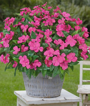 Zijden Balsam Kunstbloemen - Hoge Kwaliteit Decoratie voor Bruiloft, Tafel & Tuin