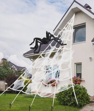 Grote Halloween Spinnenweb Decoratie met Pluche Spin (5m)