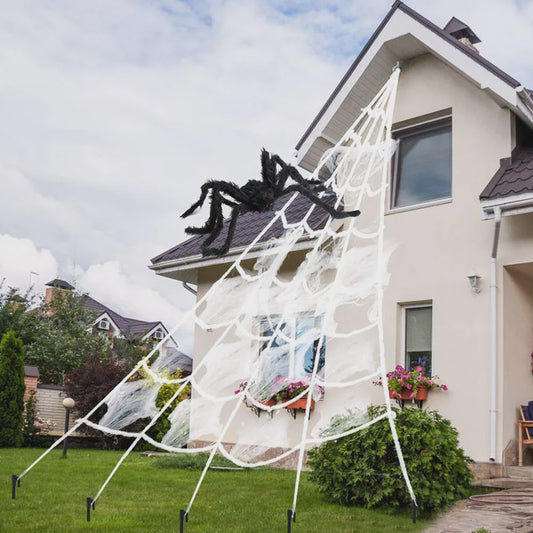 Grote Halloween Spinnenweb Decoratie met Pluche Spin (5m)