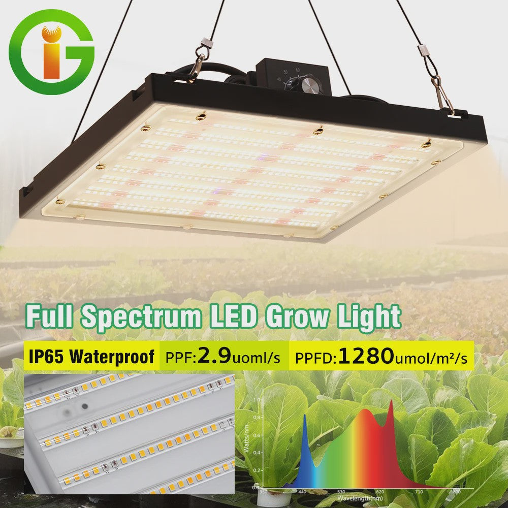 150W Full Spectrum LED Groeilamp Dimbare Quantum Board LM281B