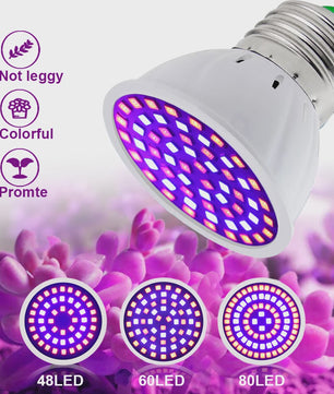 Full Spectrum LED Groeilamp E27 80 LEDs - Plantenlamp voor Binnenkweek