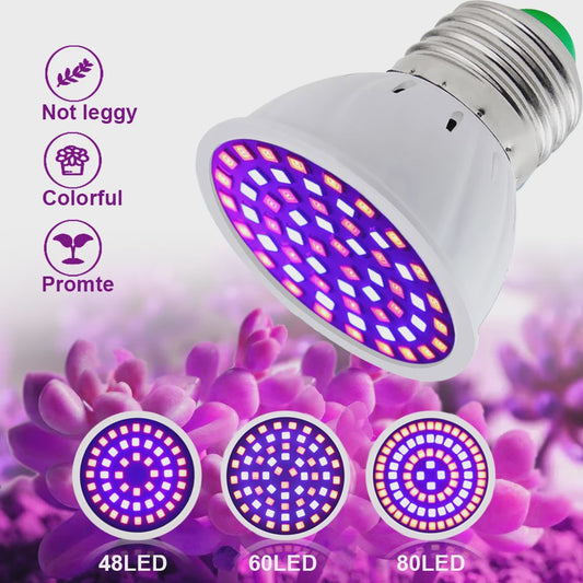 Full Spectrum LED Groeilamp E27 80 LEDs - Plantenlamp voor Binnenkweek
