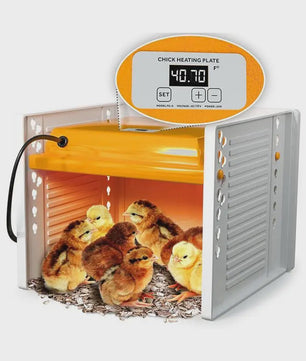 Verstelbare Kip Broedmachine Warmteplaat met Digitale Temperatuurregeling