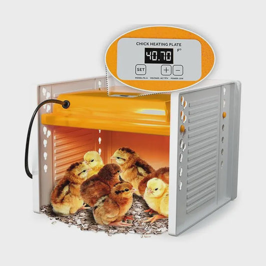 Verstelbare Kip Broedmachine Warmteplaat met Digitale Temperatuurregeling