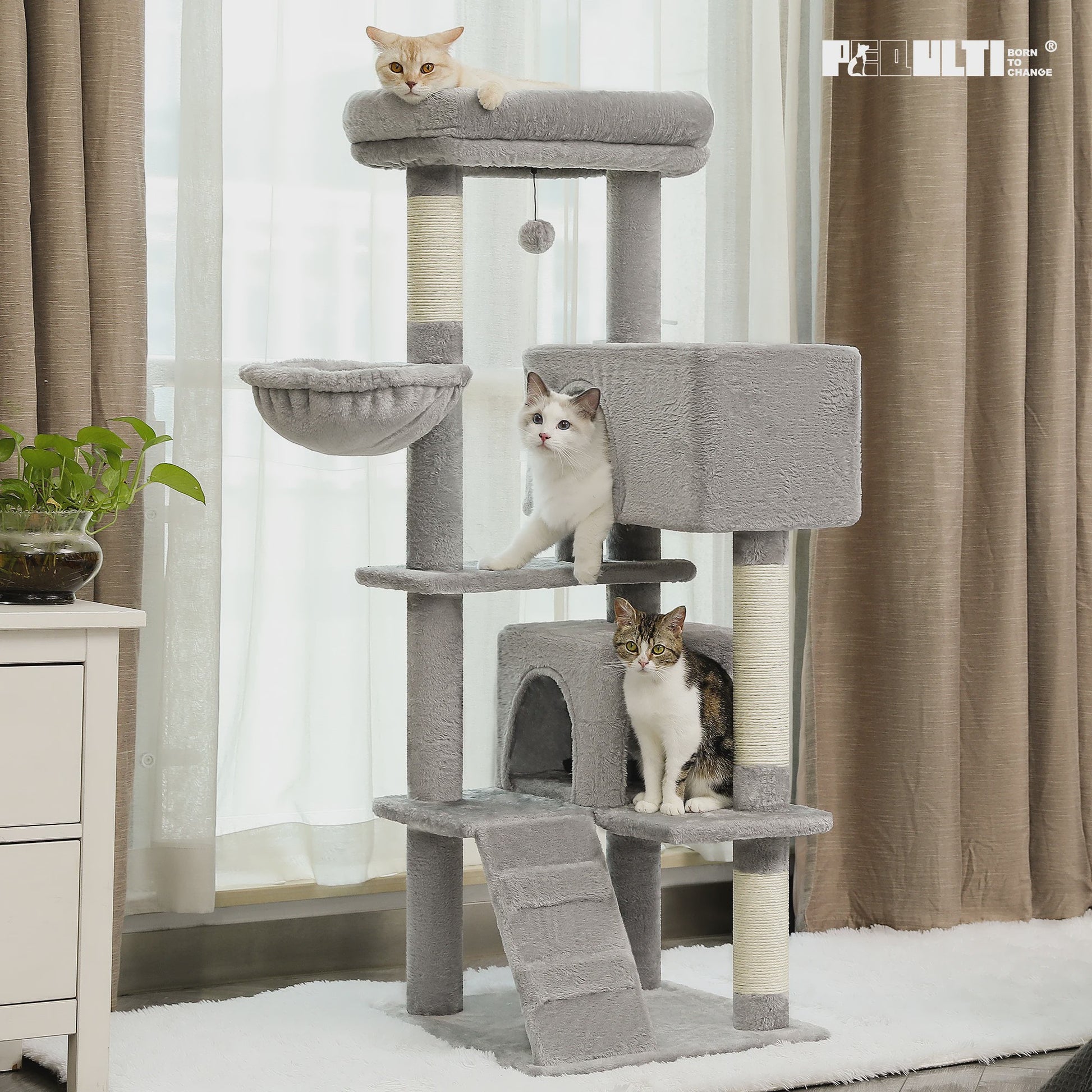 Luxe Kattenboom met Krabpalen, Hangmat en Knusse Condo - Grote Katten Toren