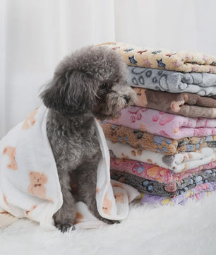 Zachte Fluwelen Deken voor Huisdieren - Warm & Comfortabel met Schattige Pootafdrukken