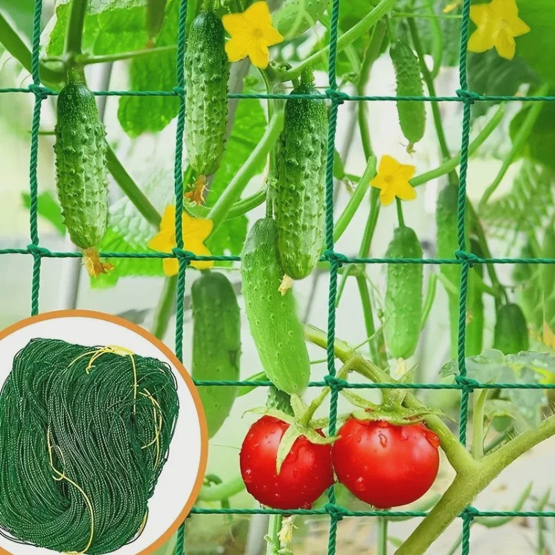 Stevig Klimnet voor Planten & Pergola's - Polyester Tuinnet met Vierkante Mallas