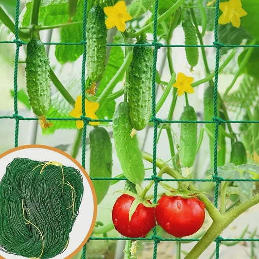 Stevig Klimnet voor Planten & Pergola's - Polyester Tuinnet met Vierkante Mallas