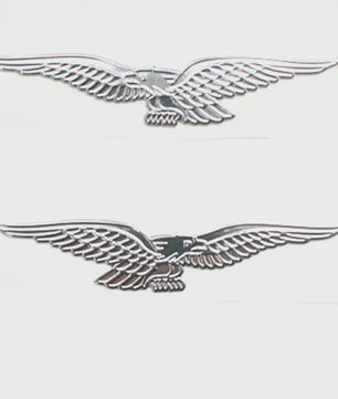 Zilveren 3D Eagle Motor Sticker - Waterdicht & Duurzaam