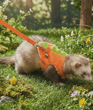 Veilig en Comfortabel Dinosaurusharnas met Riem voor Fretten, Hamsters en Cavia's