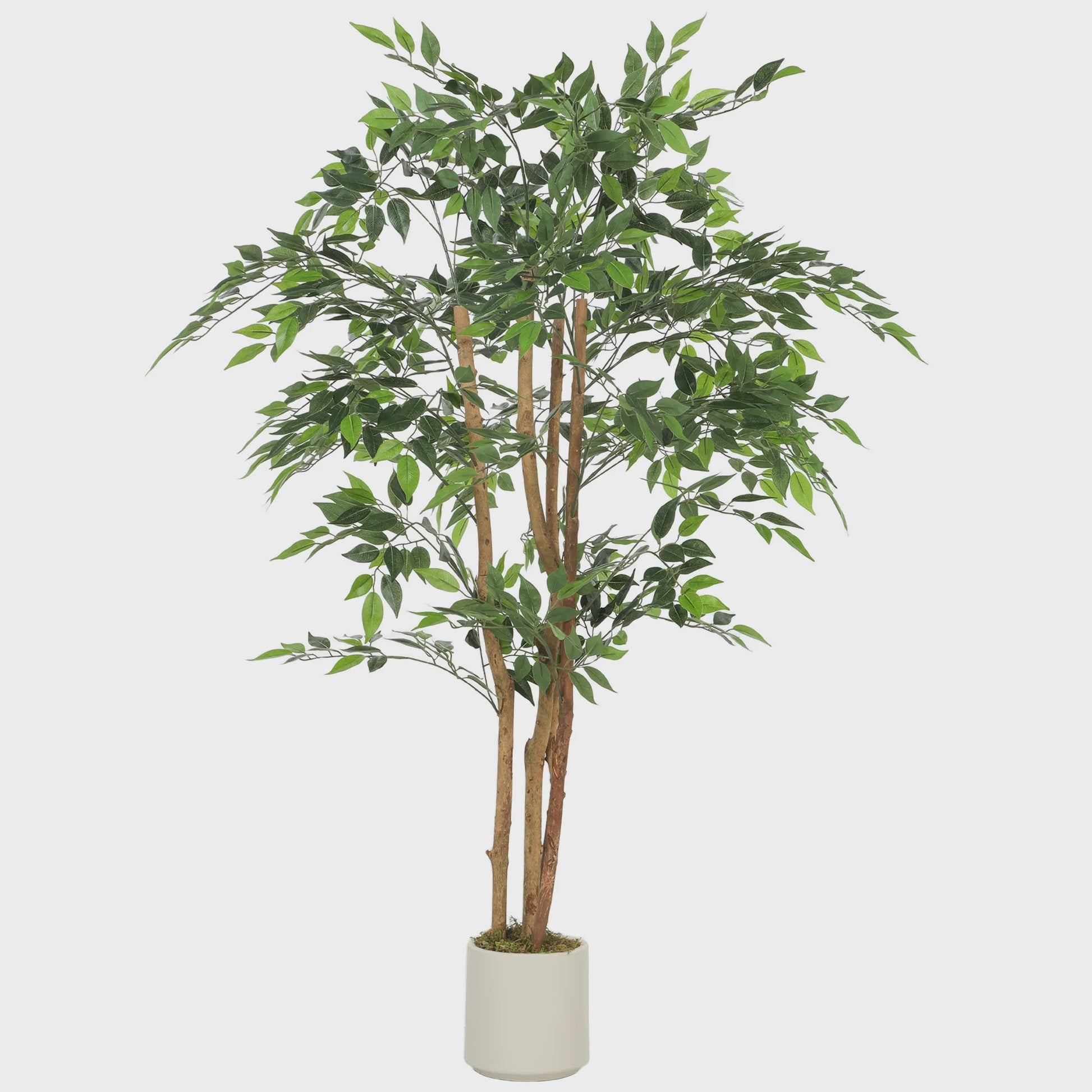 HOMCOM Kunst Banyan Boom 150 cm met Pot - Realistische Kunstplant voor Binnen