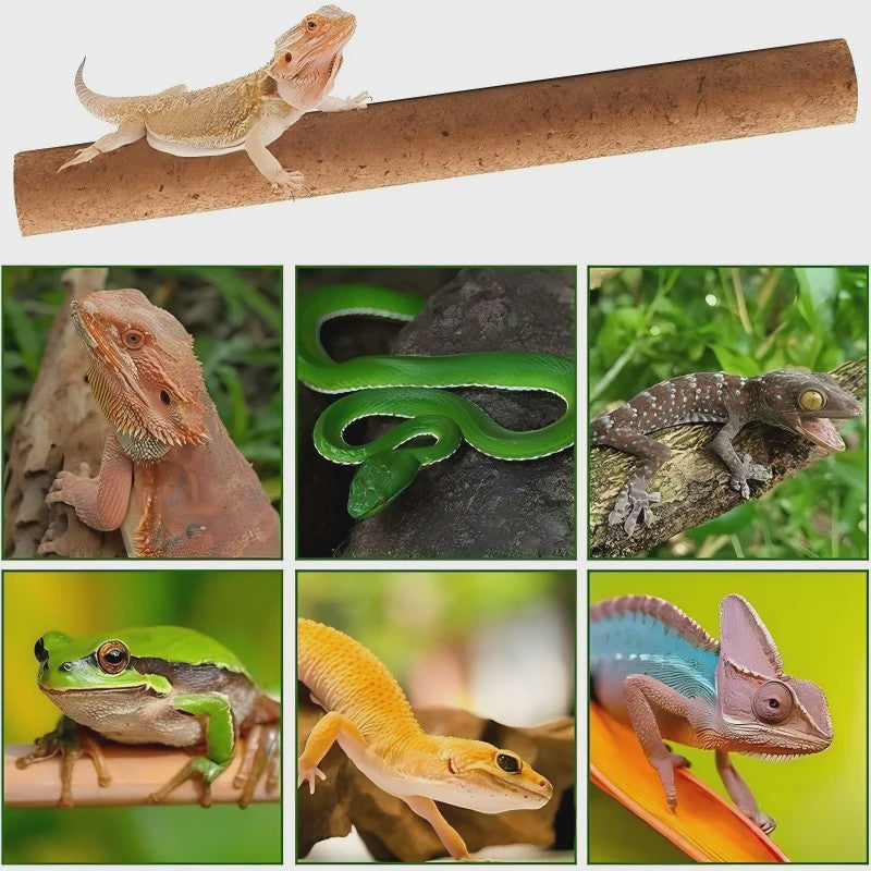 Natuurlijke Houten Klimtak voor Reptielen - Terrarium Decoratie & Speelgoed