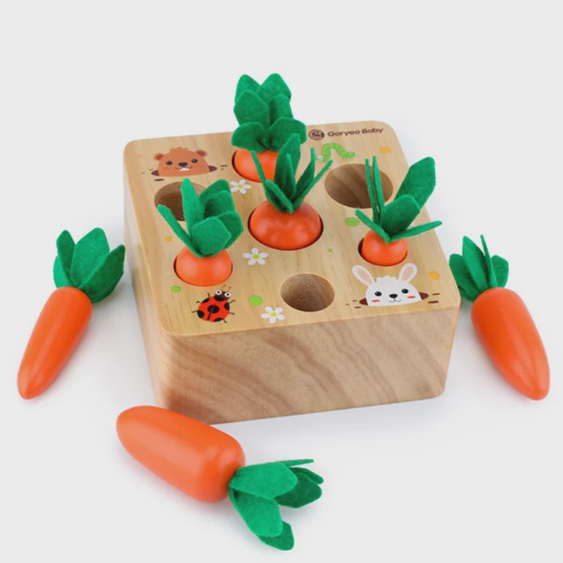Houten Montessori Wortel Puzzel - Educatief Speelgoed voor Baby's en Kinderen
