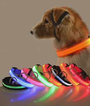 LED Hondenhalsband - Oplaadbaar en Verstelbaar voor Maximale Zichtbaarheid in het Donker