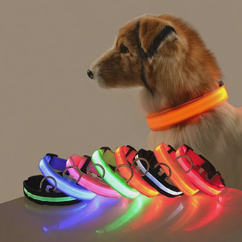 LED Hondenhalsband - Oplaadbaar en Verstelbaar voor Maximale Zichtbaarheid in het Donker