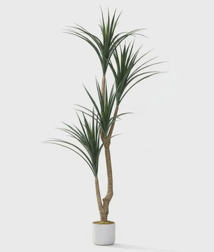 Realistische Kunst Dracaena Marginata Boom - 165cm Hoge Kunstplant in Pot voor Binnen Decoratie
