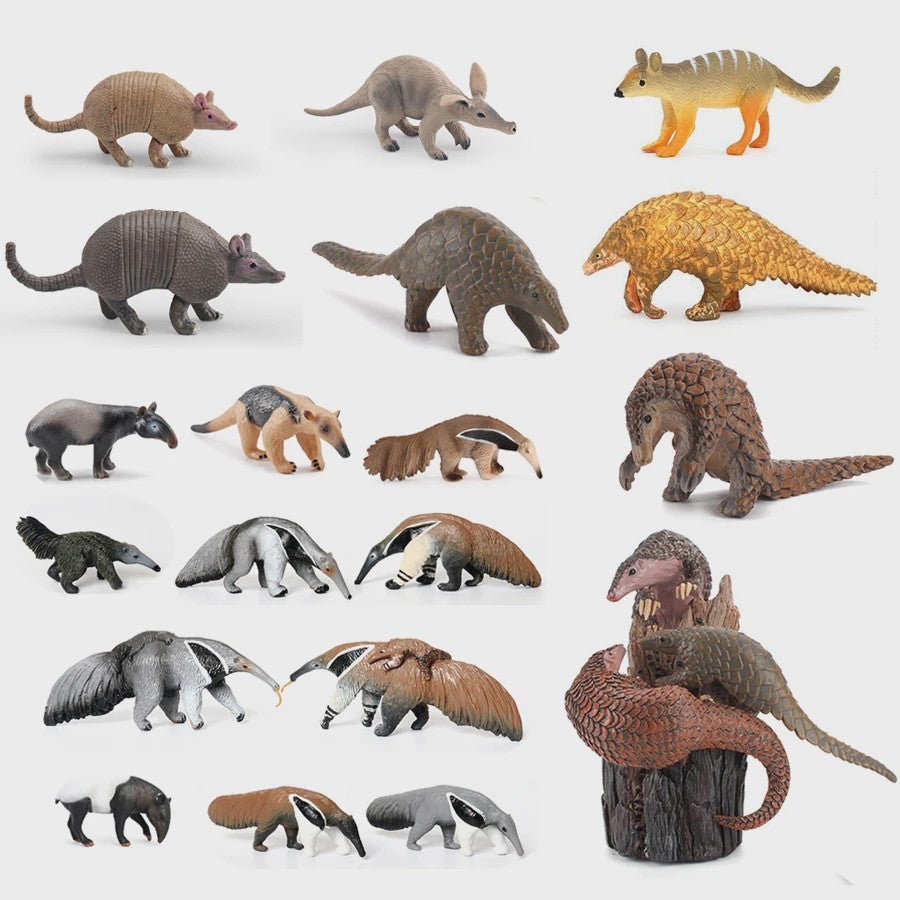 Realistische Dierenfiguren: Miereneter, Tapir, Schuifdiertje & Gordeldier - Educatief Speelgoed voor Kinderen