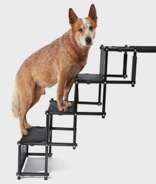Opvouwbare Hondentrap tot 75 kg - Ideaal voor Auto & Bed - Geschikt voor Kleine en Grote Honden