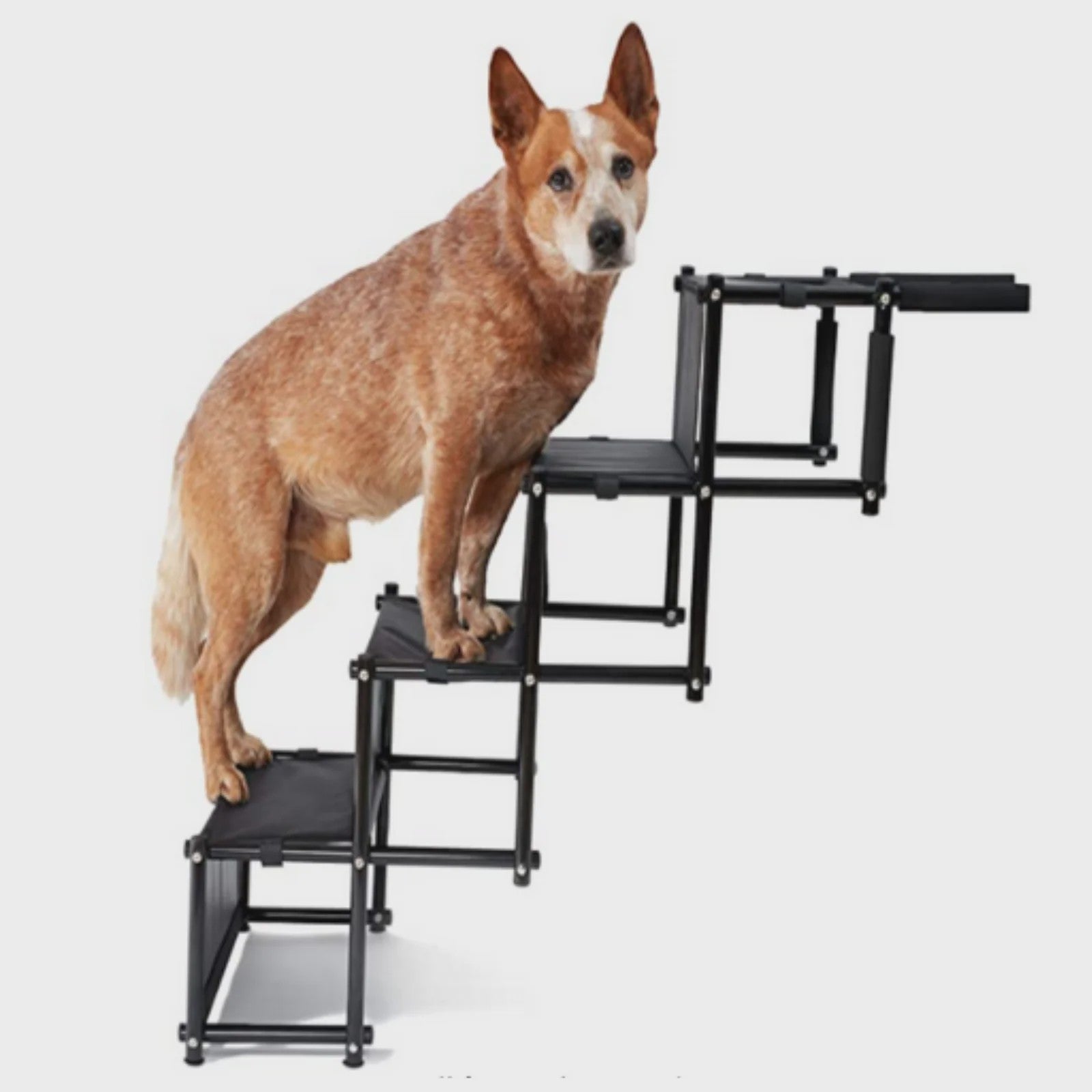Opvouwbare Hondentrap tot 75 kg - Ideaal voor Auto & Bed - Geschikt voor Kleine en Grote Honden