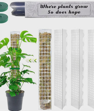 Mospaal voor Klimplanten - Stevige Plantensteun voor Binnen & Tuin